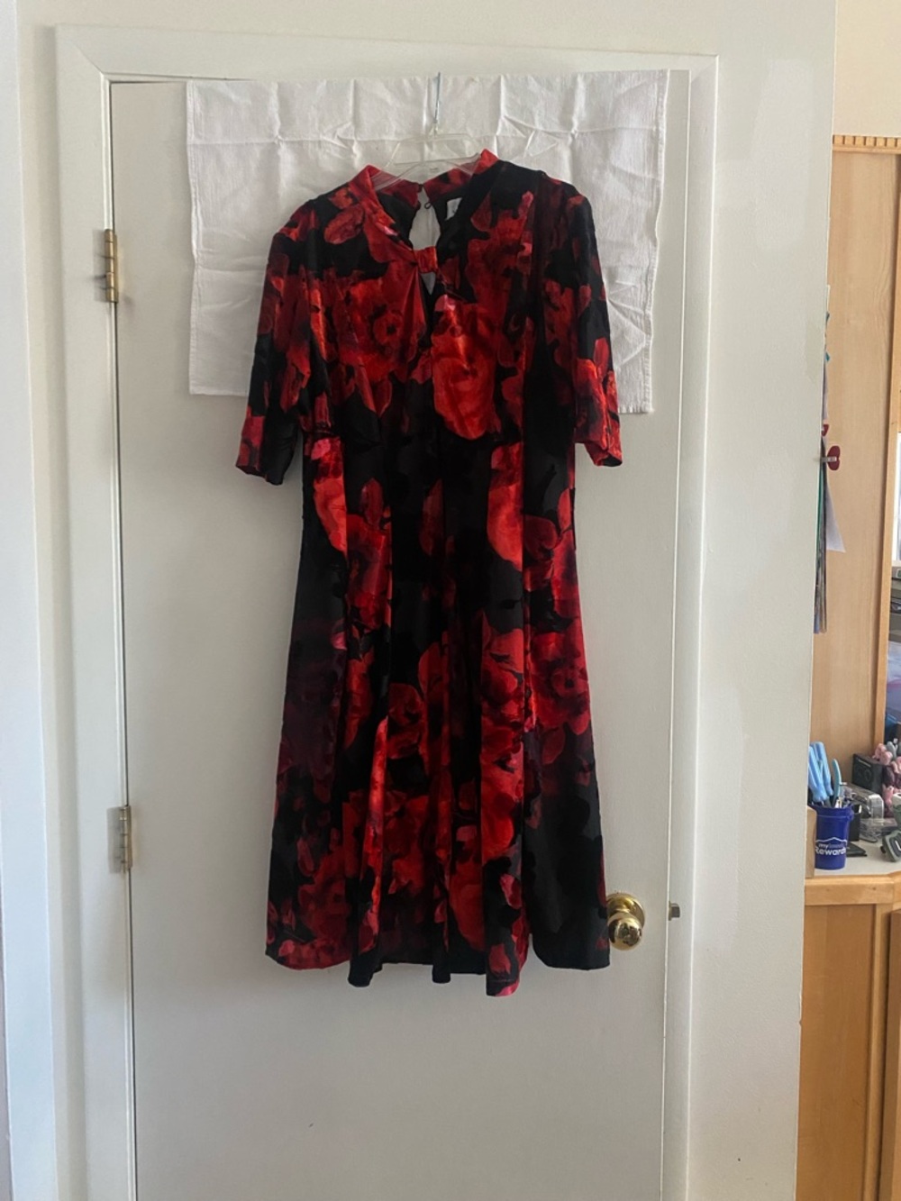 Signature by Robbie Bee Black and Red Floral Velvet Dress